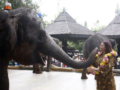 Pesta Perpisahan Dubes Suriname di TSI