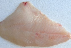Ikan Dory