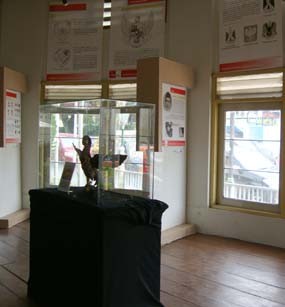 Makin Bangga di Dada Mengenal Sang Garuda