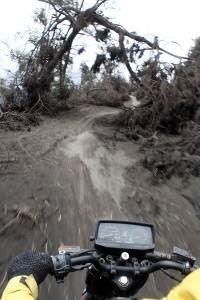 Jalur Utama ke Lautan Pasir Bromo Parah, Pohon Bertumbangan