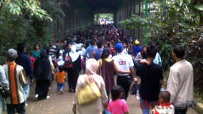 Ragunan Nan Murah Meriah & Tambah Wawasan Binatang