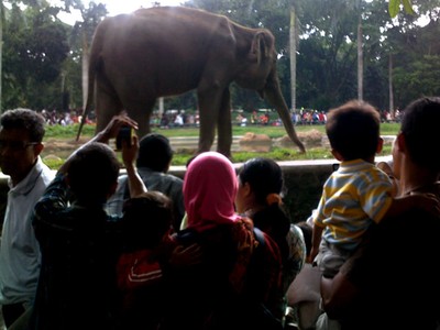 Liburan Murah Meriah di Ragunan