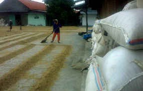Bea Masuk 57 Pos Tarif Produk Pangan Dihapus