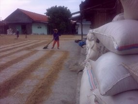 Harga Minyak dan Pangan Picu Ketidakpastian Ekonomi RI di 2011