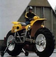Mantan Motor Tertinggi di Dunia Dilelang