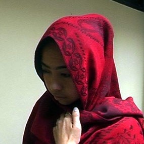 Bawa Makanan, Milana Jenguk Gayus 