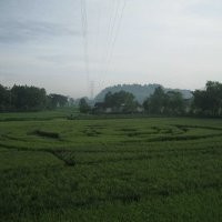 Tifatul: Crop CircleUFO di Sleman Terlalu Mudah Buat Heboh 