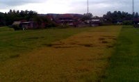 Polisi Cabut Police Line di Crop Circle dan Tutup Jalan ke Bukit Gunung Suru