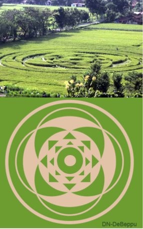 Masih Sulit Meminta Pembuat Crop Circle Mengaku