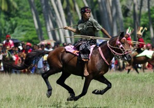 Festival Pasola 2011, Sumba, NTT