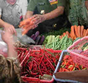 Hatta: Harga Cabai Tak Lagi Rp 100 Ribu per Kg