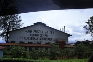 Berlibur ke Kaki Gunung Dempo