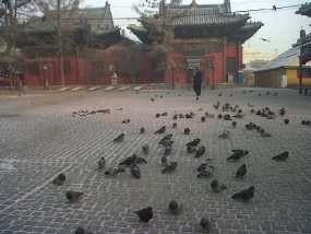 Yuk Melongok Biara Gandan di Mongolia