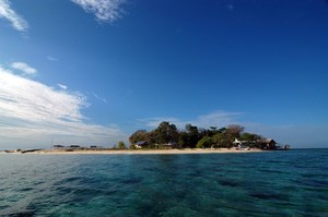 Keindahan Bawah Laut Samalona