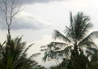 UFO Terlihat di Atas Crop Circle Magelang