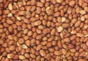 Kacang Tanah Bisa Jadi Media Pemicu Kanker Hati