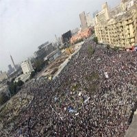 Aksi Demo Anti-Mubarak Juga Marak di Amerika Serikat