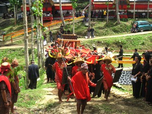 My Lovely Toraja