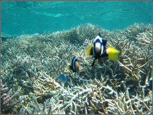 Karimun Jawa Islands Is Dangerously Beautiful