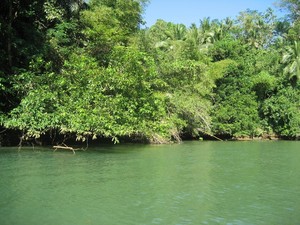 Tetesan-tetesan Air Green Canyon