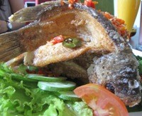 Kriuk-kriuk...Renyah dan Pedasnya Gurame Kaget