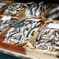 Cara Aman Konsumsi Ikan Agar Terhindar dari Efek Merkuri Cara Aman Konsumsi Ikan Agar Terhindar dari Efek Merkuri
