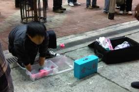 Bunga Lilin di Hari Valentine dari Pria Cacat