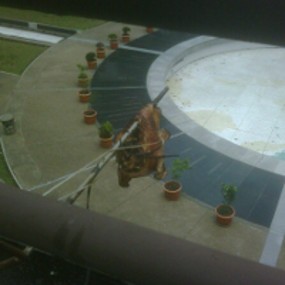 Polisi Melacak Teror Kepala Babi di ITB