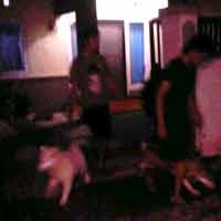 Gara-gara Anjing, Amuk Massa Nyaris Terjadi di Perumahan Sidoarjo