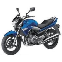 Suzuki Berminat Boyong GW250