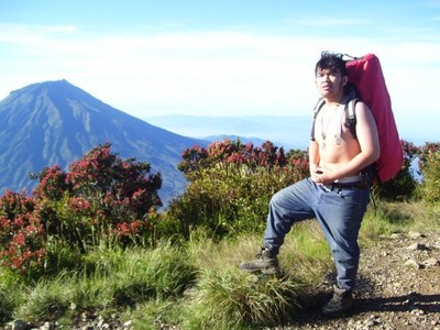 G.sindoro