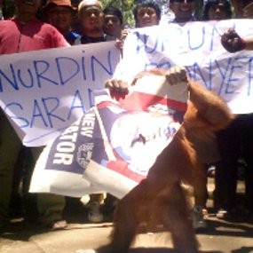 Atim Robek Poster Nurdin Halid