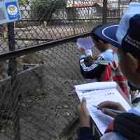 Siswa SD Luqman Al Hakim Dikenalkan Fauna