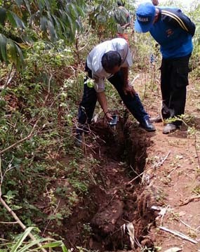 Retakan di Lereng Gunung Wilis Diduga Akibat Pelapukan Kerak Bumi