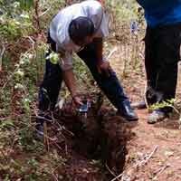 6 Kabupaten di Jatim Juga Merasakan Suara Dentuman dan Getaran