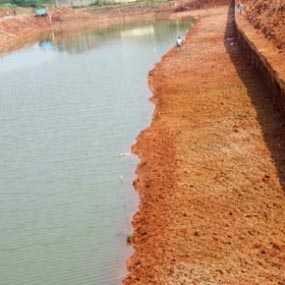 Yihaaa! Kanal Banjir Timur Semakin Hijau