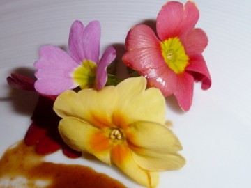 Edible Flowes Bunga yang Bisa Dimakan Edible Flowes Bunga yang Bisa Dimakan
