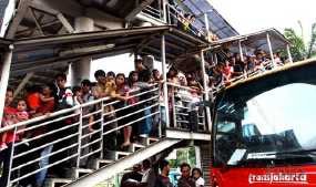 Pusiiing! TransJ Lama, Bus Umum Minim