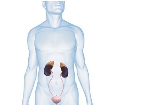 Kantung Kemih Hasil Rekayasa Sel Sukses Ditanamkan ke 5 Bocah