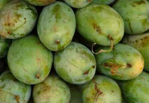 Mangga Paling Bagus Buat Kesehatan Usus