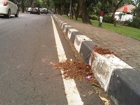 Para Waria Trauma, Belum Tentu Mangkal Malam Ini