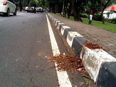 Dor! Shakira Tewas di Taman Lawang