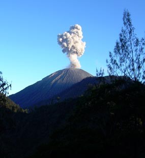 Gunung Semeru Keluarkan 74 Kali Letusan