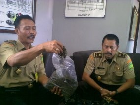 Pecat! Petugas Lapas Terlibat Sindikat Narkotik