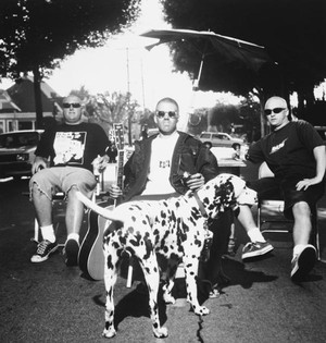 Sublime Reuni dan Segera Rilis Album Baru