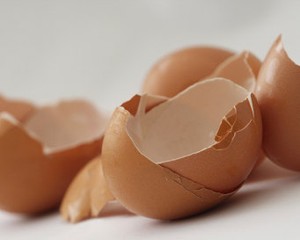 Tips Memanfaatkan Kulit Telur untuk Rumah