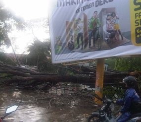 Pohon Tumbang Timpa Billboard, Kabel Listrik Menjuntai di Jl Senopati