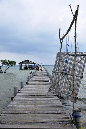Pulau Biawak