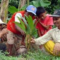 Buah Kelapa Bertunas Dua Jadi Tontonan