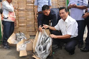 Aneh! Ikan Kembung Saja Kok Impor